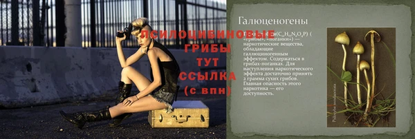 стаф Алексин
