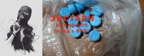 стаф Алексин