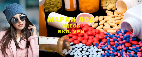 стаф Алексин