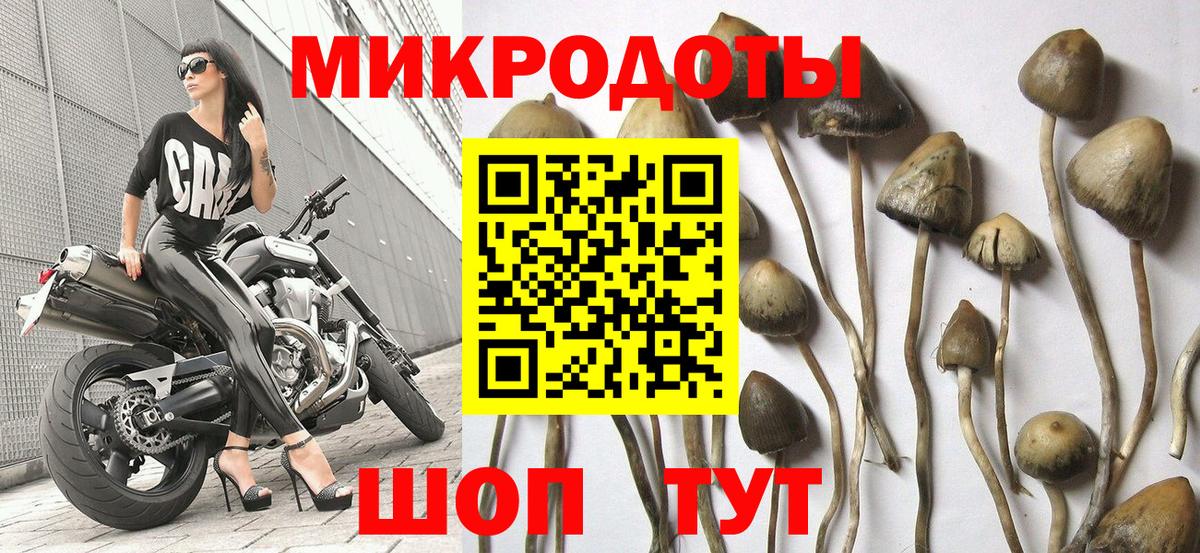 Галлюциногенные грибы Magic Shrooms  Вход с VPN  Магадан 